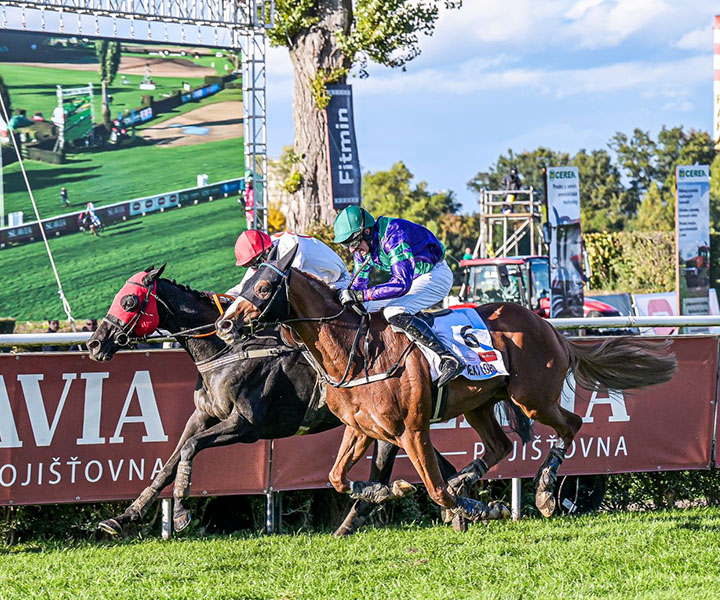 tvar-pardubickeho-kraje-akce-velka-pardubicka-steeplechase